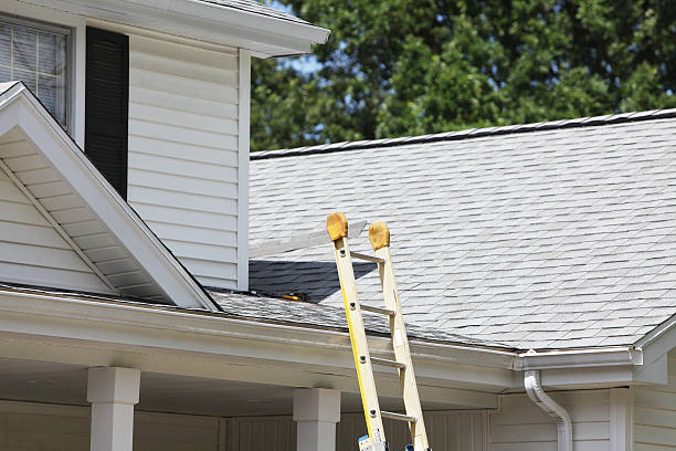 Best Stone Veneer Siding  in Johnson City, TX